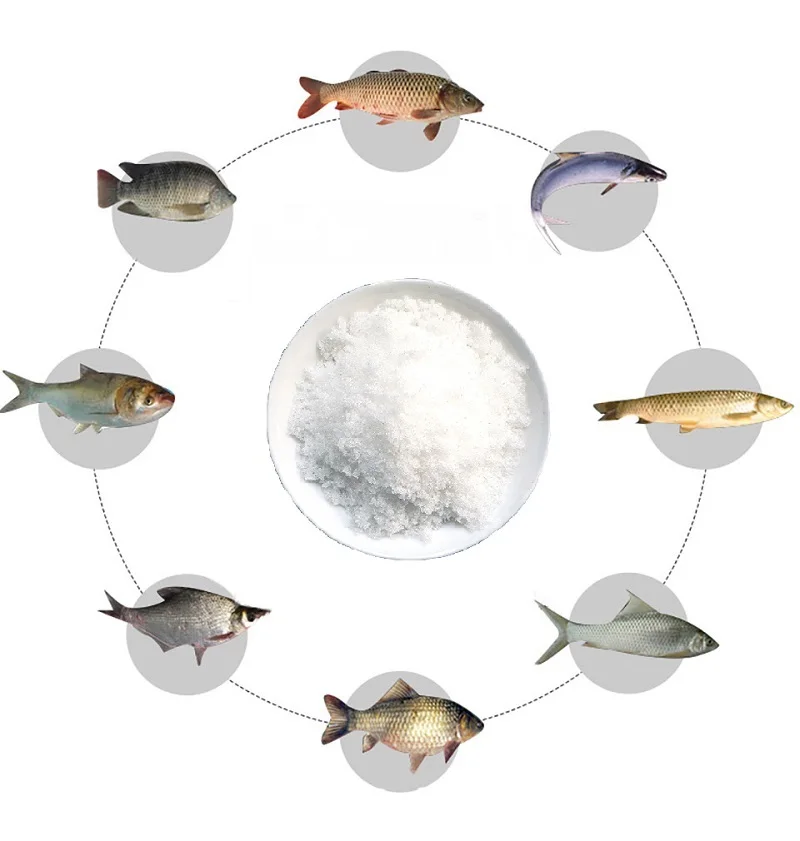 DMPT Dimethylpropiothetin Feed Attractant Promotes Protein Synthesis for Catfish Crayfish Aquatic Feed Additives Cas 4337-33-1