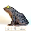 frog