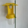 Amarillo