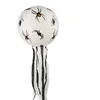 White spider with whiskers