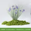 Roseau d'herbe pure + cosmos étoilé violet bleu + mousse 100g