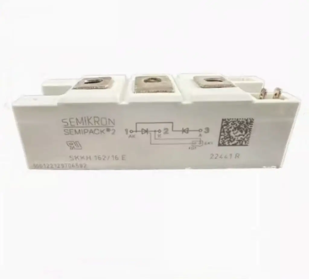 Brand New Original SEMIKRON Power Module IGBT Module SKKH162/16E ...