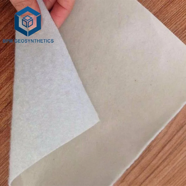 Geotextile Geotech Fabric for Canals Project in Cambodia