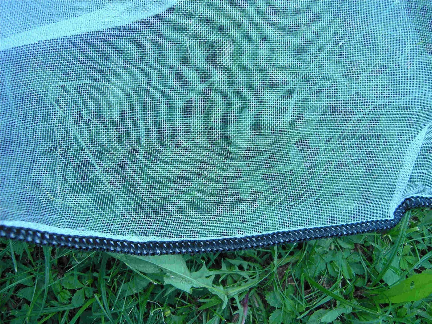 Agriculture Polyethylene Fitted Insect Mesh Net For Trees Greenhouse 40