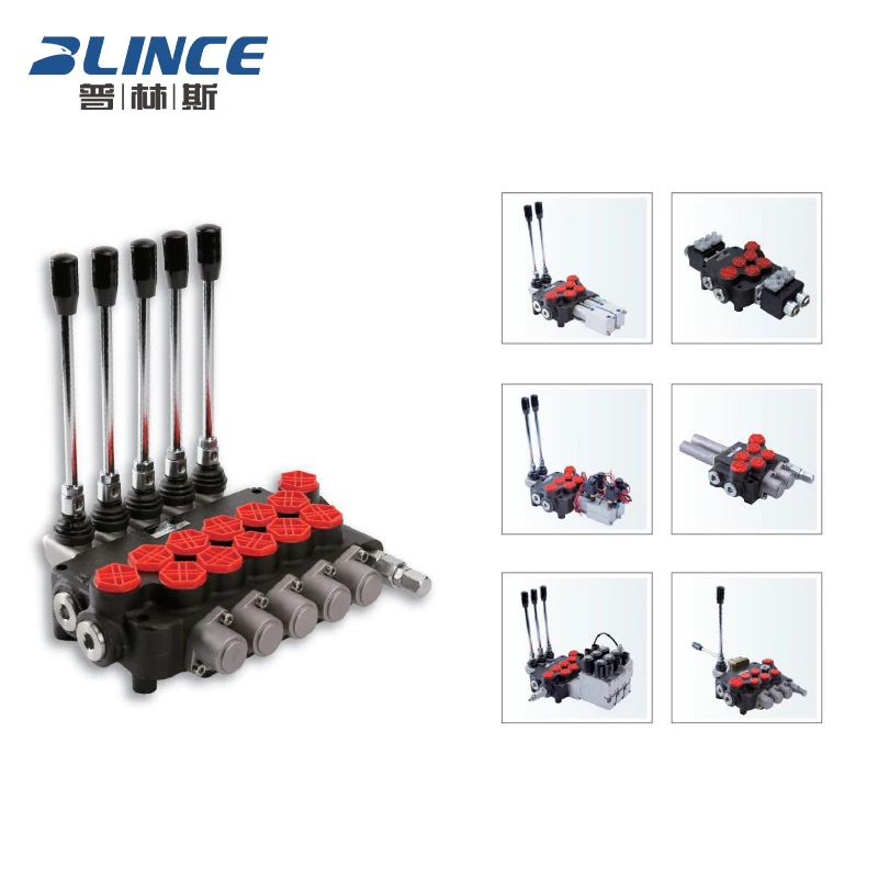 Kit Vanne Hydraulique Directionnelle P80 — 2 Bobines, 21GPM, 25MPa — Télécommande Par Câble — Pour Installations Professionnelles