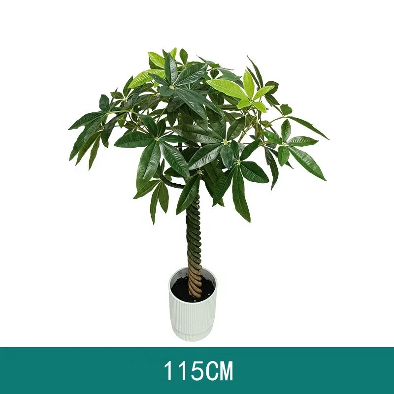 aglaonema pink valentine Aglaonema Lady Valentine