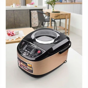 SC 5L Household Smart Digital Rice Cooker Customizable See-Through Model for Hotel Use Factory Wholesale Sale