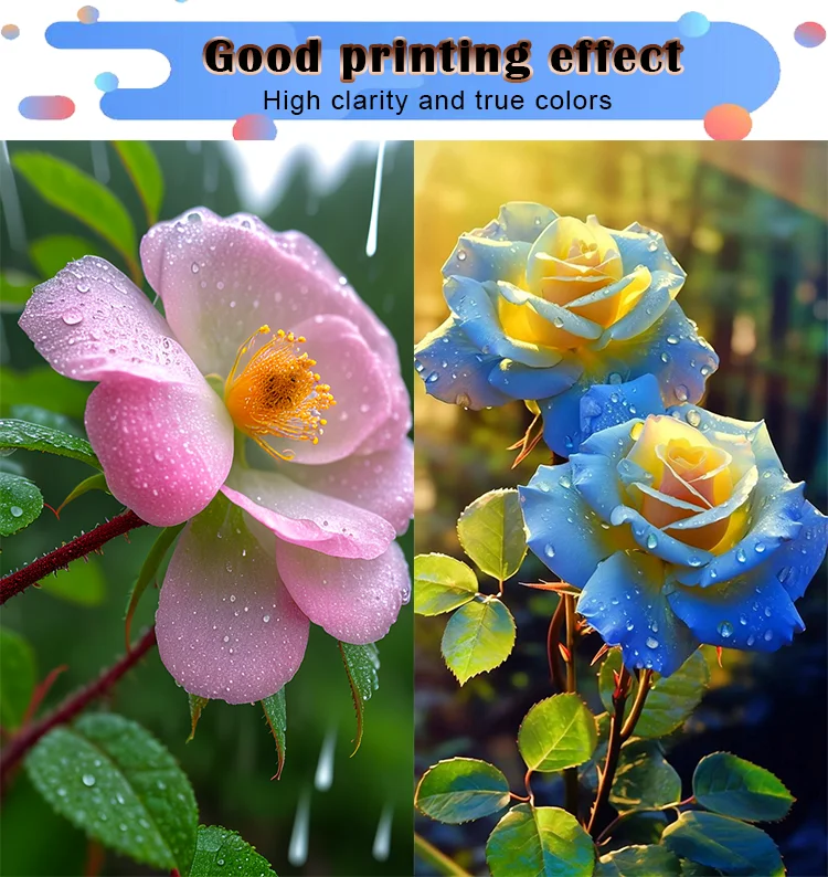 Lansong Auto Feeder Corrugated Paper Boxes Printing Paper Bags Inkjet Single Pass Cardboard Printer with h P Head and Computer manufacture