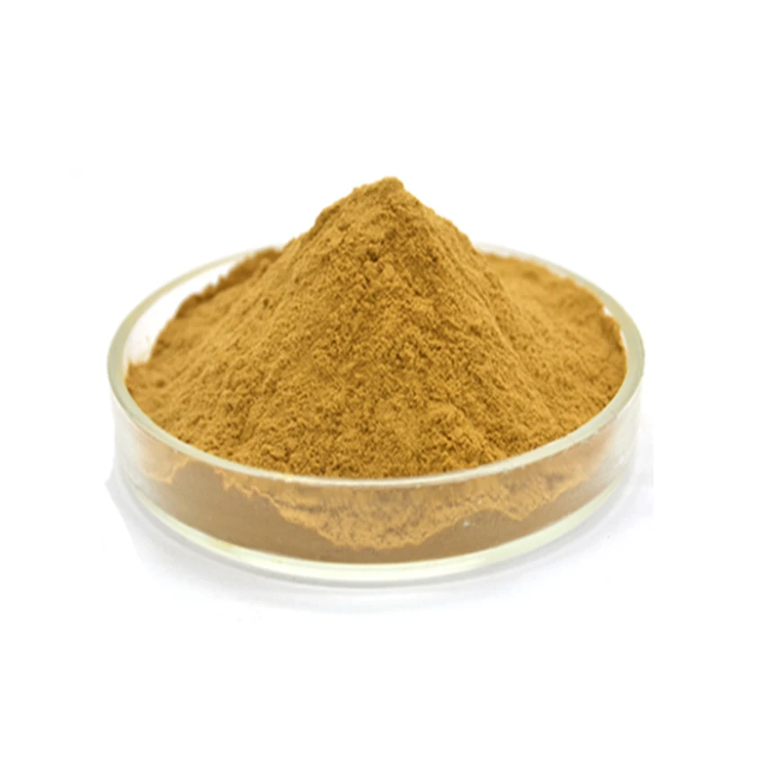 High Quality Price Brahmi Extract/brahmi Powder Bacopa Monniera Extract