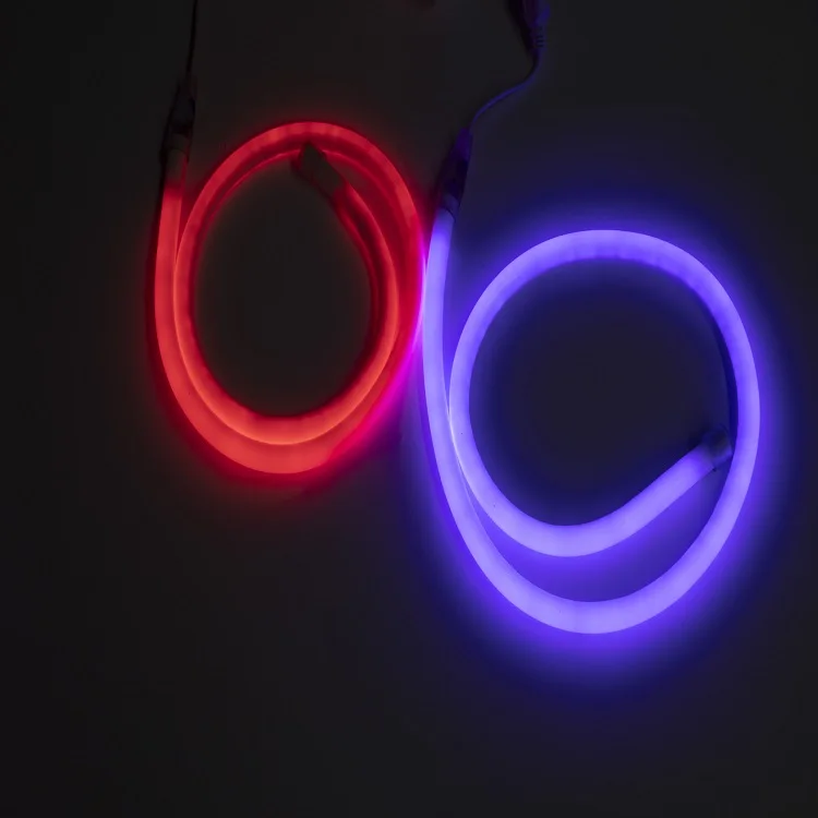 LED neon light-4.jpg