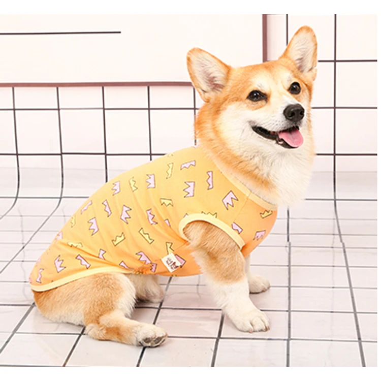 expensive dog clothes