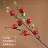 7 Apple CS Rojo