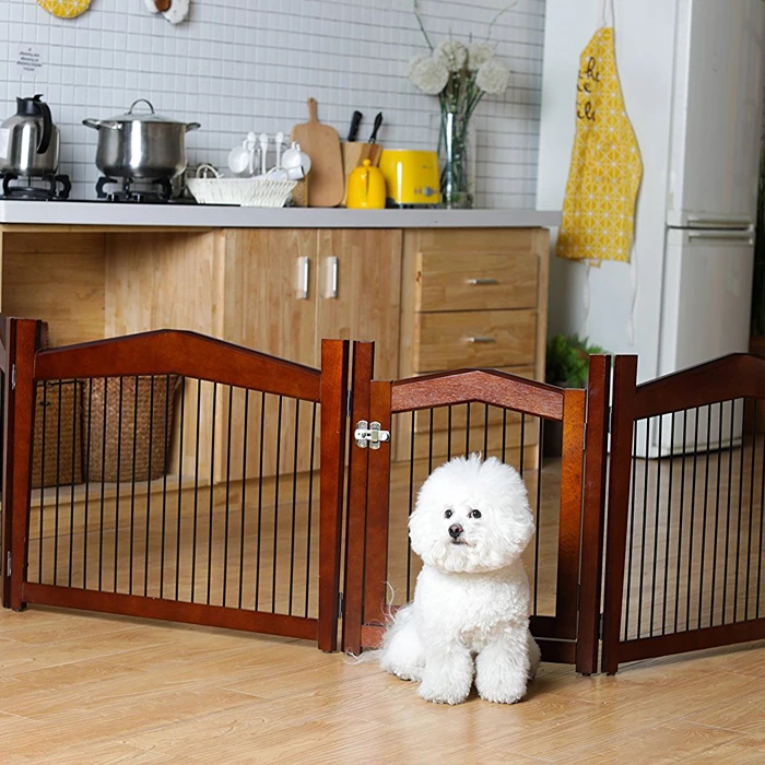 how to keep dog off kitchen table