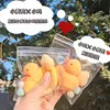 Mini Poulet Canard Jaune [Accessoires Aléatoires]