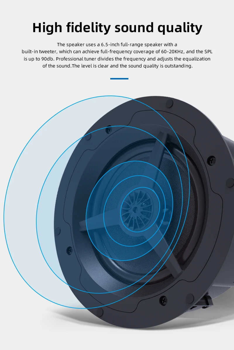 Brzhifi Active Wireless Ceiling Speakers Bluetooth Multiroom Wifi2.4&5g