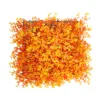 Sunset red maple leaves