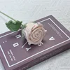 rosa claro