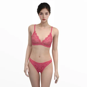 Women Eyelash Lace Bra & Brief Sets Lingerie Factory Soft Cup Sheer Bra Panties Set Sexy Lace Transparent Ladies Bra