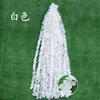 One meter long, pure white orchid clusters