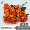 กุหลาบกลมเก้าหัวหลายชั้น สีส้ม