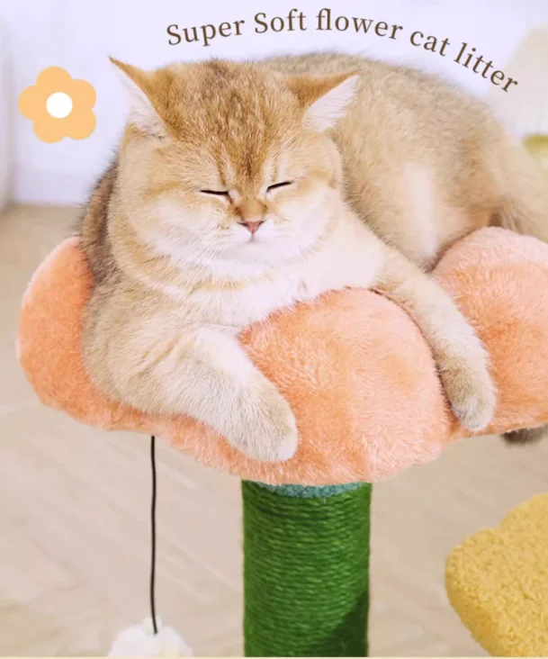 Wholesale Cat Supplies Small Orange Cat Scratcher Tree Toys Buy Cat