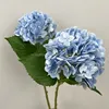 Blu-chiaro