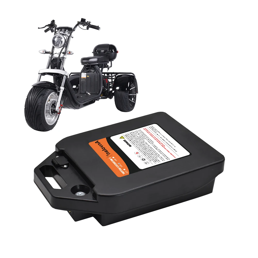 60v 20ah Removable Citycoco Lithium Ion Battery - 500-1000 Cycles