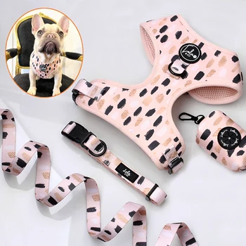 Oem Custom Designer Soft Padded Sublimation Patterns Pet Supplies Dog Leash Set Pet Neoprene Neck Adjustable Dog Harness