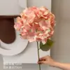 Alice Hydrangea