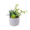 Aloès artificiel et succulente avec vigne dans un pot en ciment