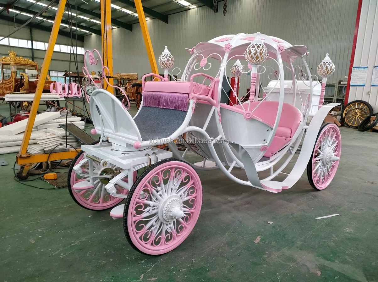 Newest Small Cinderella Carriage/ Luxury Electric Pumpkin Coach/horse ...