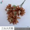 Three-headed Giant Claw Daisy XH Brown