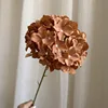 Single Stem Imperial Concubine Hydrangea