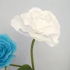สีขาว