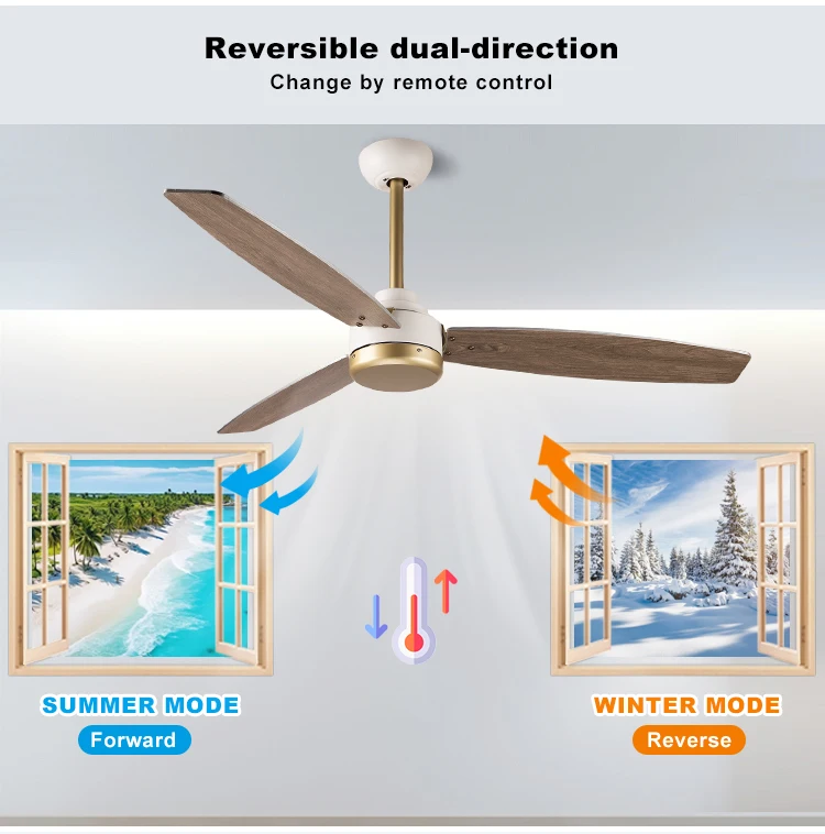 Ceiling Fan, FS11025 - detail 12