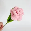 #13 Pink Puff Rose