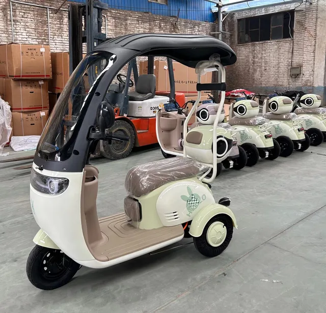 Popular electric motorcycle taxi Adult motorcycle electric electric freight bicycle passenger tricycle