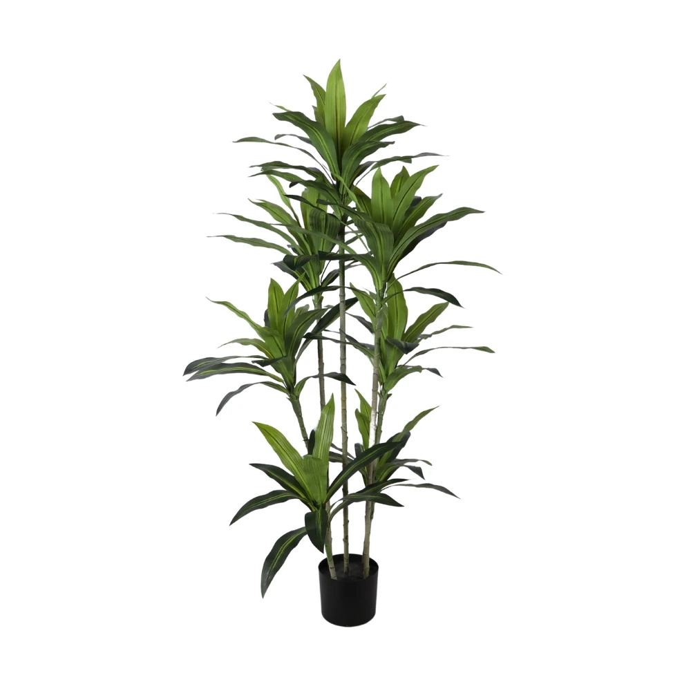 Brazil Lucky Tub Plant Artificial Four Seasons Green Plastic Plant ...