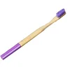 Purple paint cylinder
