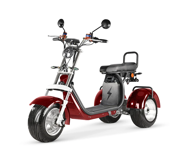 3 Wheel Citycoco Scooter Motor Adult Light Weight Powerful Eec Coc ...