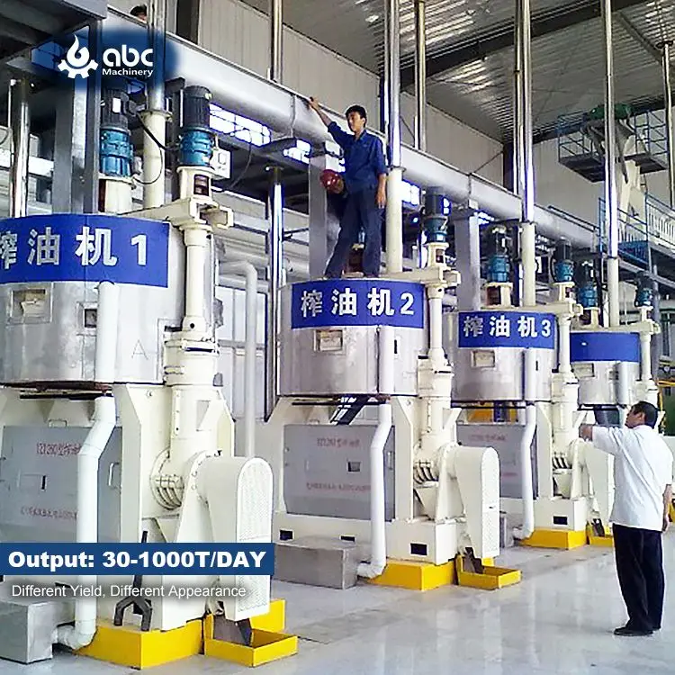 Soybean Processing Plant in India - High Efficiency Oil Extraction