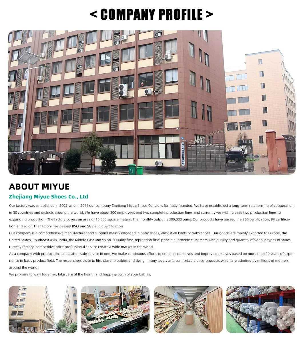 Company overview