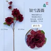 Silver snow rose wine red