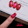 Sparkle Flash Cat Eye#11