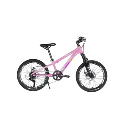 Cycletrack 20 Inch MTB Bike Durable Fun for Kids