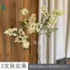 3-forked autumn fruit ZLZ off-white