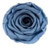 bleu poussiéreux
