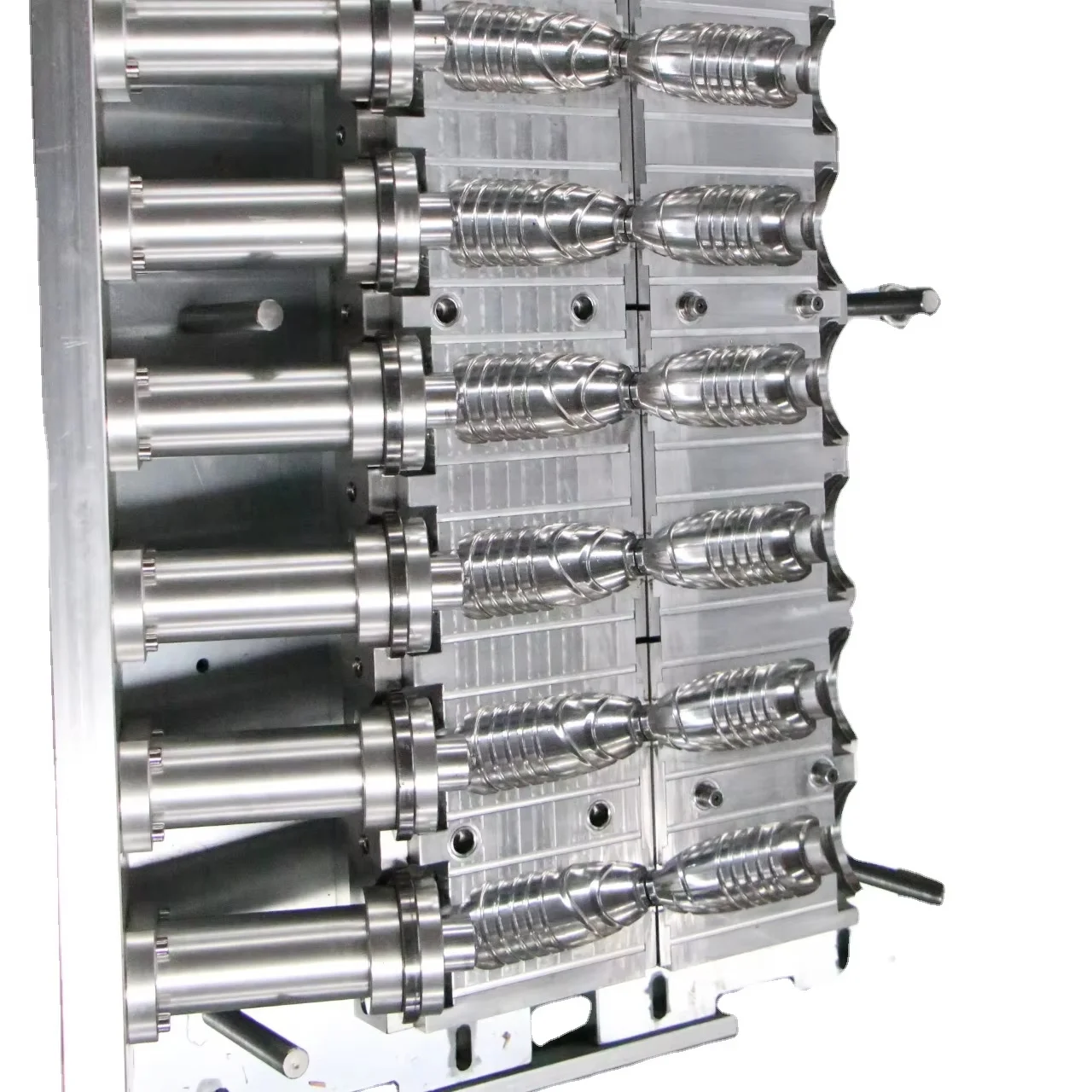 Eceng Hot Sell Multi-Cavity Bottle Blowing Mould