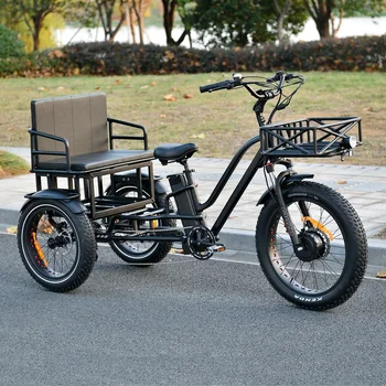 3 Wheel Cargo Electric Bike China Made Front Motor Electric Tricycle ...