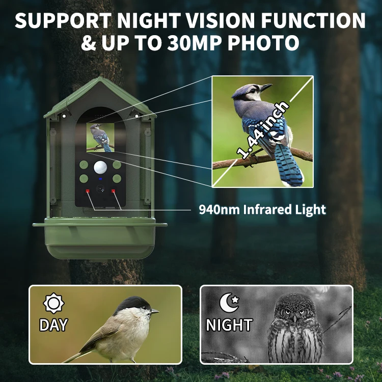 Solar Panels 1080p Wifi Smart Bird Feeders Camera With Motion Detection